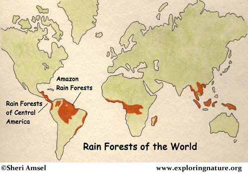 Amazon Rainforest World Map 736x936