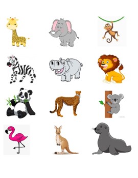 Zoo animals clip art | TPT