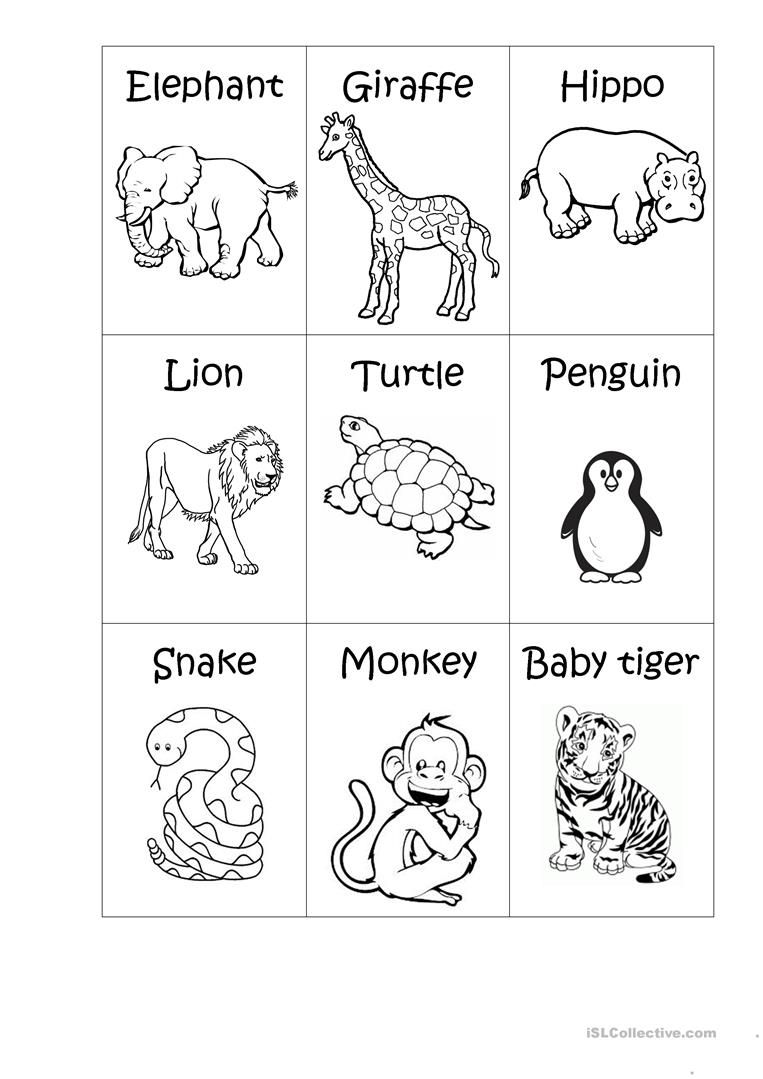 Zoo Animals - Big or Small?