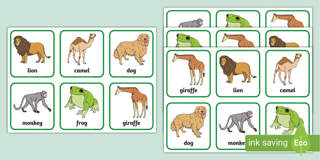 Zoo Animals Matching Cards (teacher made) - Twinkl