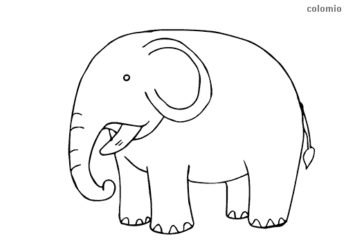 printable zoo animals pictures
