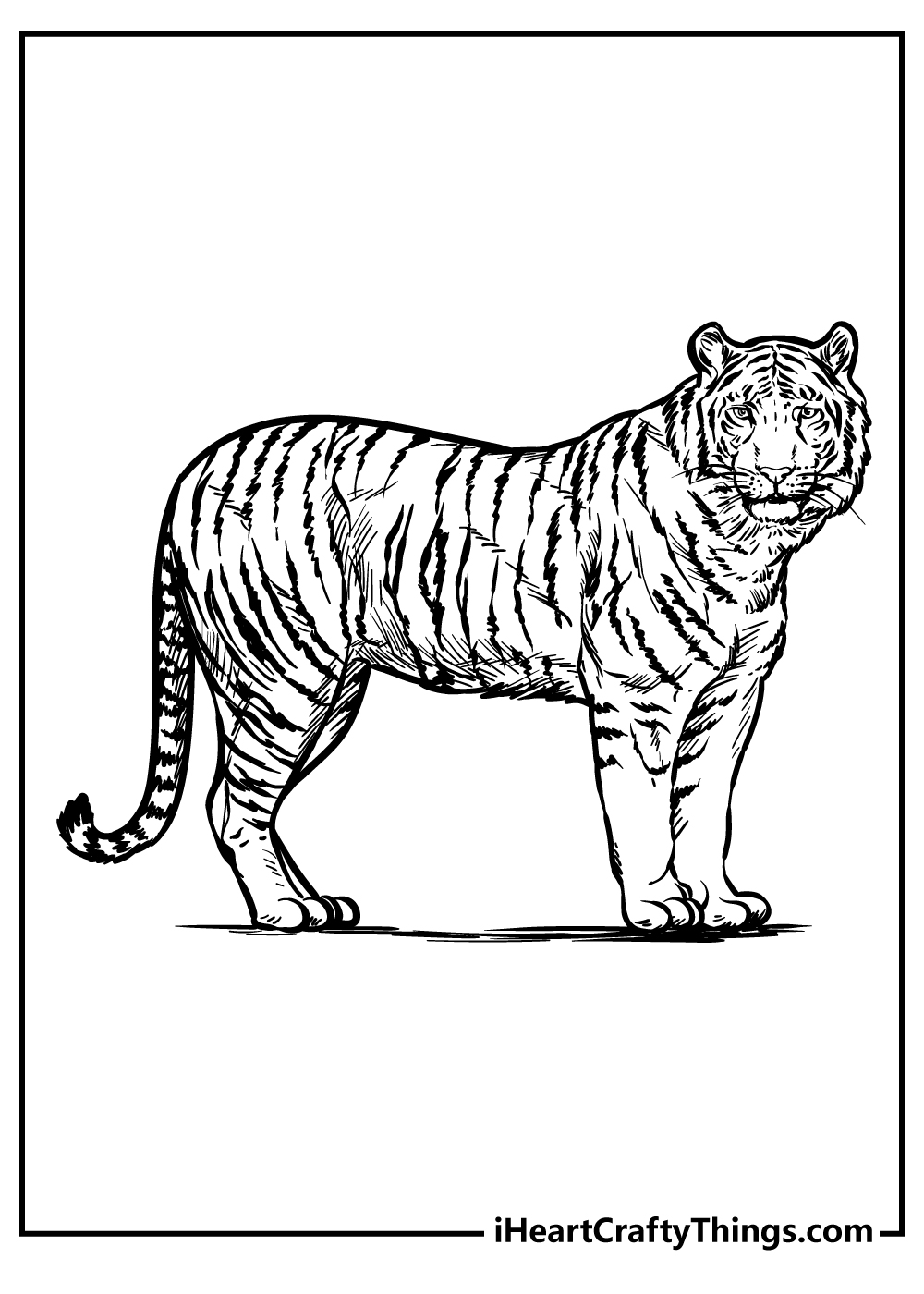 printable zoo animals pictures