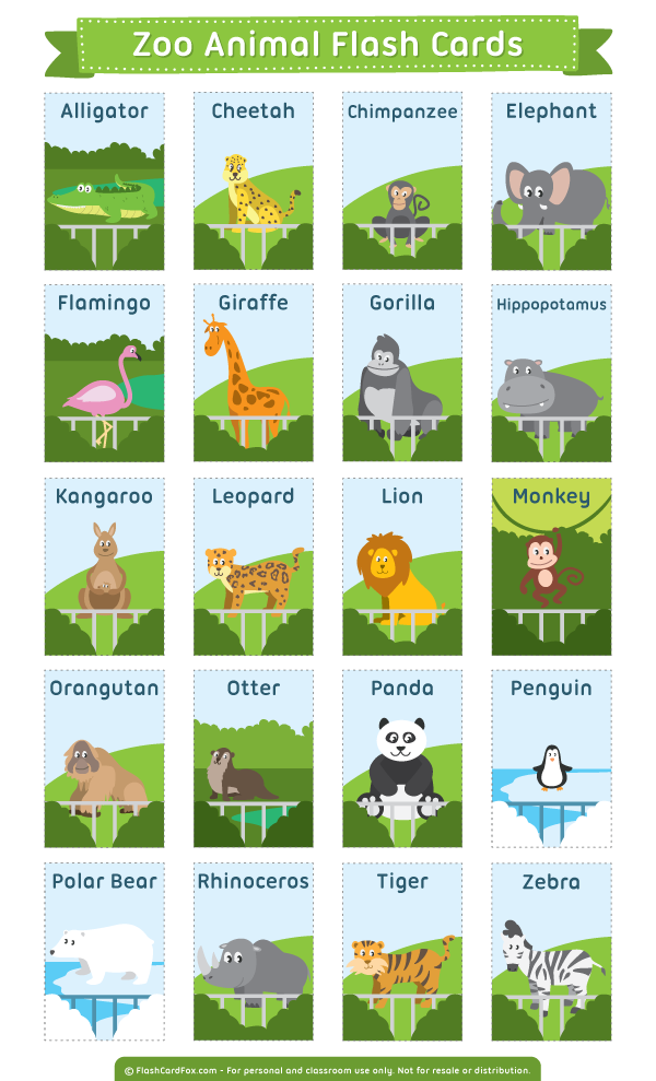 printable zoo animals pictures