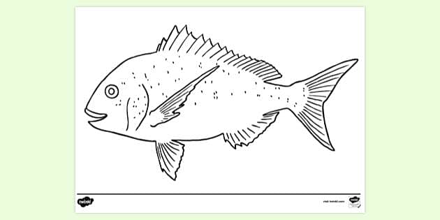 printables of fish
