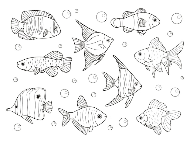 Premium Vector | Printable Fish Outline Coloring Pages