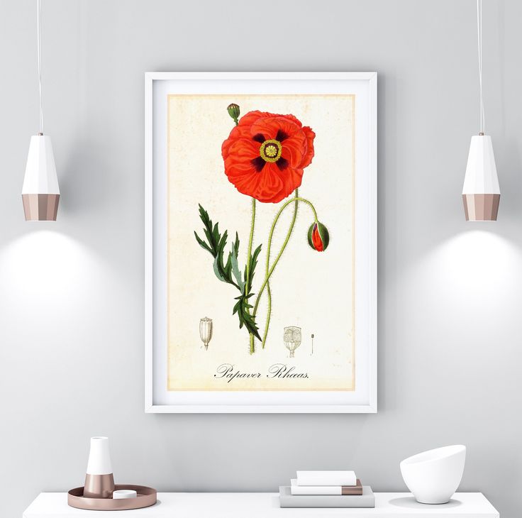 Poppy Printable Wall Art, Vintage Botanical Papaver Flower ...