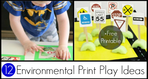 30+ of the Best Environmental Print Activities | Just Reed &  Play