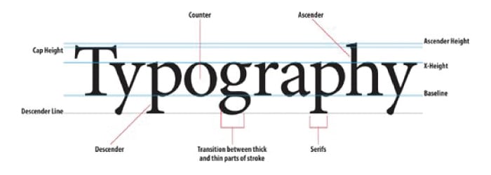 Best Fonts for Newsletters