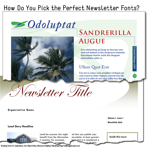 A Guide to the Best Fonts for Newsletters