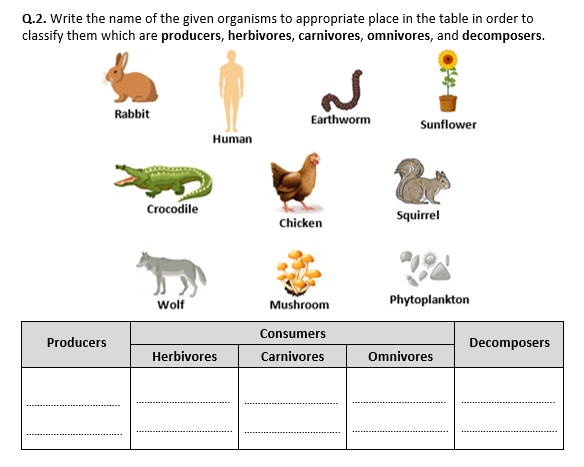 Producers, Consumers, and Decomposers - Worksheet | Distance ...
