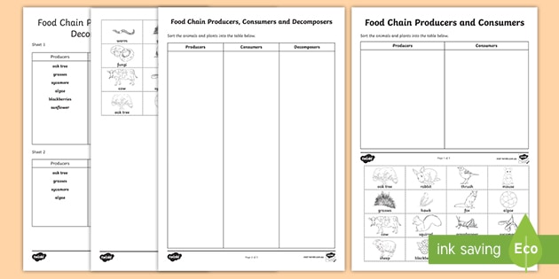 producer and consumer worksheet