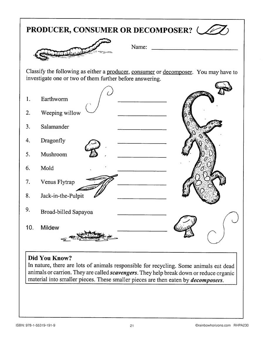 producer consumer decomposer worksheet