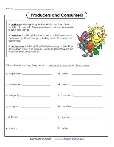 producer consumer decomposer worksheet