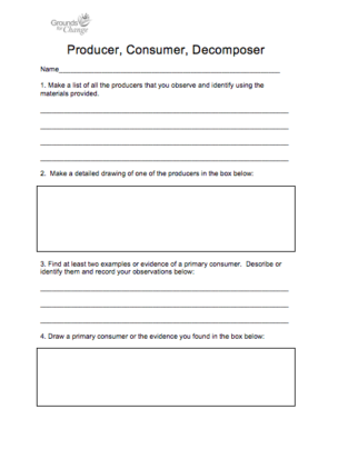 producers and consumers worksheet