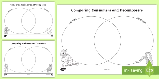 producers consumers and decomposers worksheet