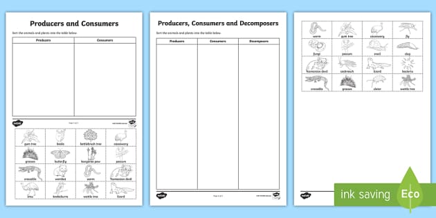 producers consumers and decomposers worksheet