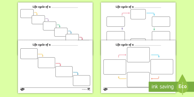product life cycle worksheet