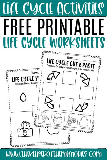product life cycle worksheet