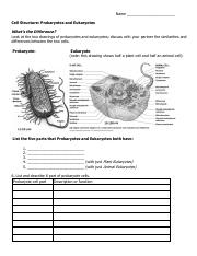 Cells Worksheet.pdf - Name Cell Structure: Prokaryotes and ...