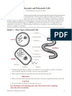 prokaryotic and eukaryotic cell worksheet