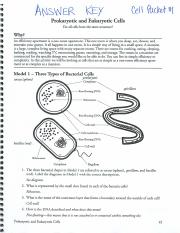 prokaryotic and eukaryotic cells worksheet