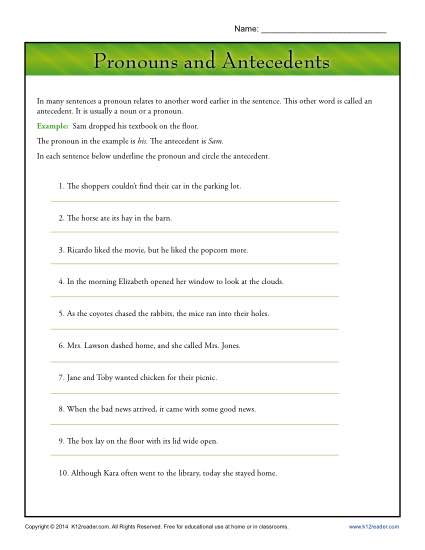 Pronouns and Antecedents | Pronoun Agreement Worksheet