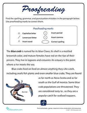 Proofreading Practice #3 | Worksheet 
