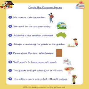 proper noun and common noun worksheet