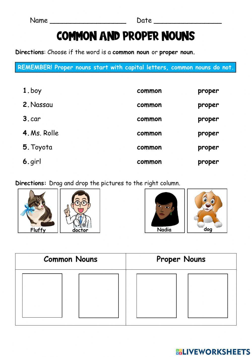 Common and Proper Nouns worksheet for 2  