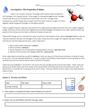 Investigation: Properties of Water with Lab Stations - Worksheets Library