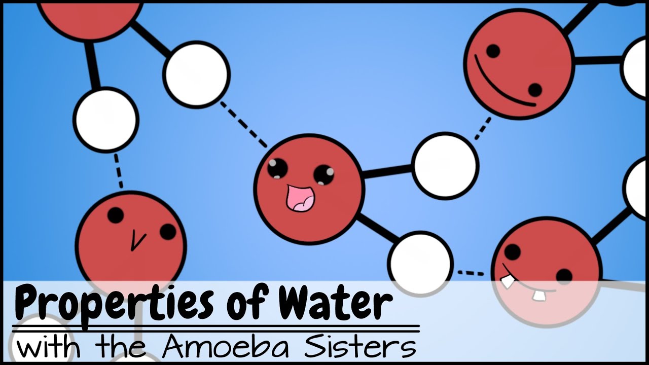 properties of water worksheet answers
