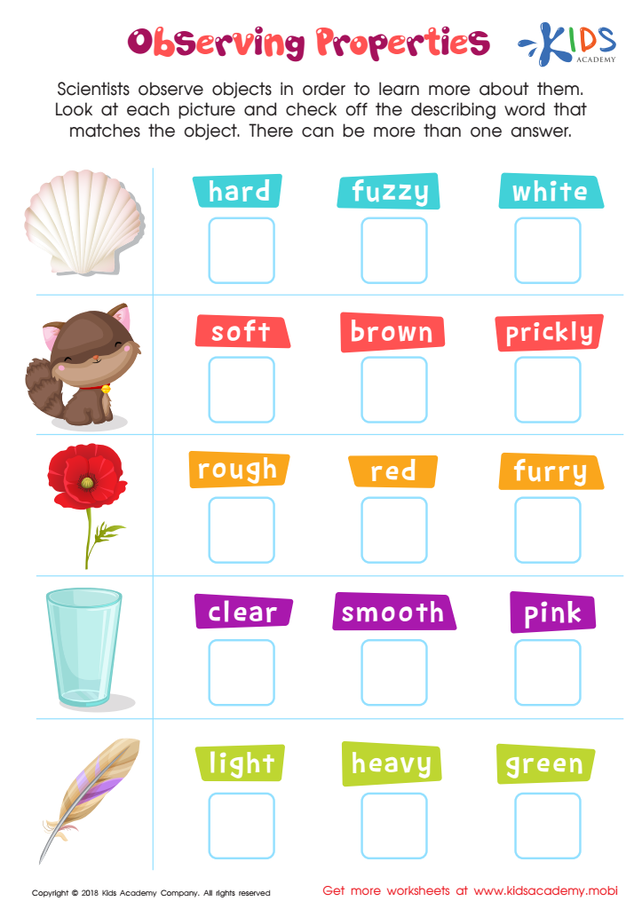 Observing Properties Worksheet for kids