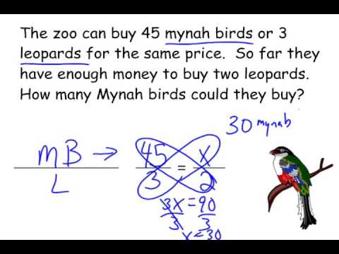 How to Solve Word Problems Using a Proportion