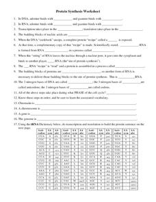 Protein Synthesis Worksheet Worksheet for 9th - 12th Grade ...