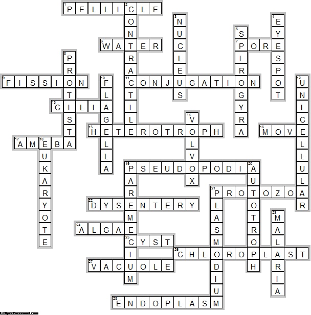 Protist Crossword