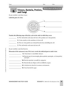 Viruses, Bacteria, Protists, and Fungi Worksheet for 9th - Higher ...