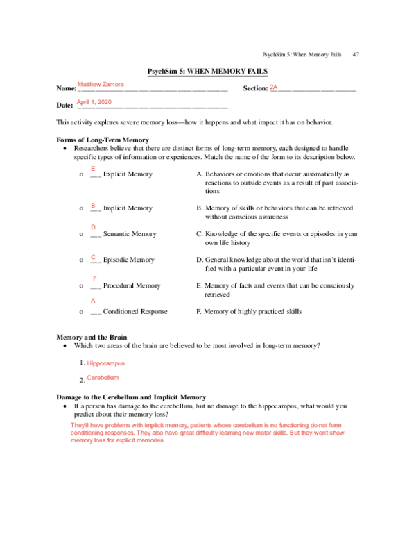 PDF) PsychSim 5: WHEN MEMORY FAILS | Matthew Zamora - Academia.edu