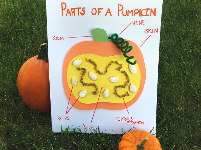 Classroom Pumpkin Activities