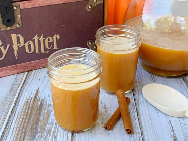Universal Studios World Of Harry Potter Pumpkin Juice Empty Bottle ...