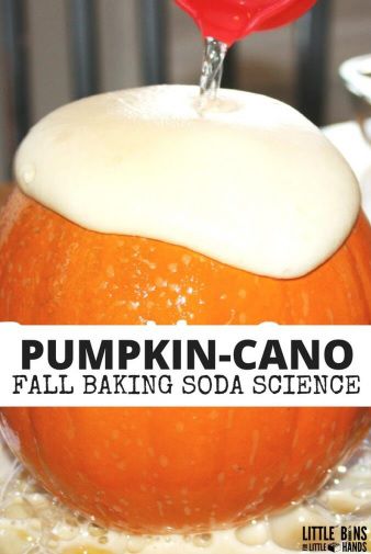 16 Amazing Pumpkin Science Experiments: Easy to Set Up and Easy to ...
