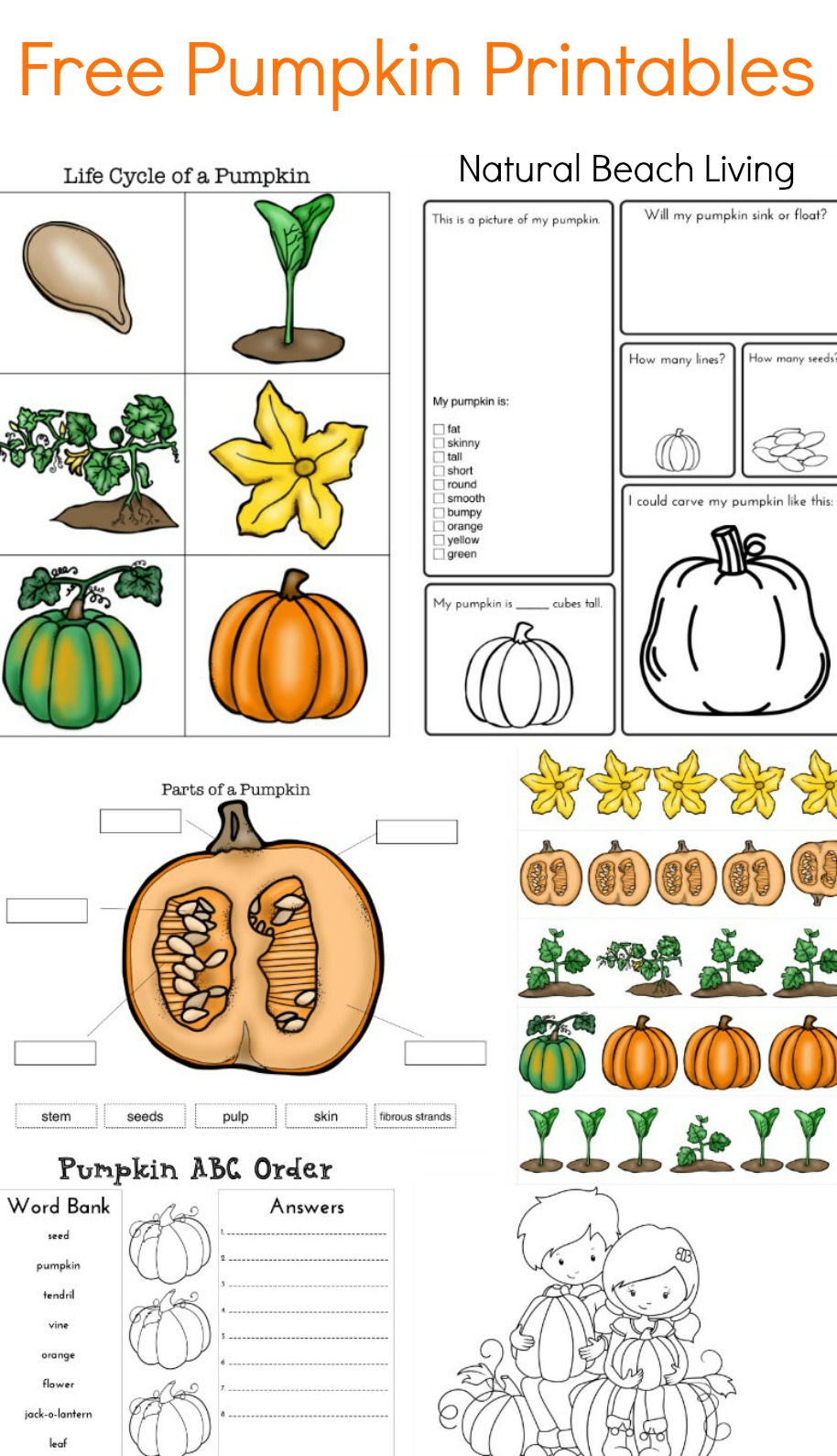 Pumpkin Activities for Kids - Pumpkin Lesson Plans (STEM ...