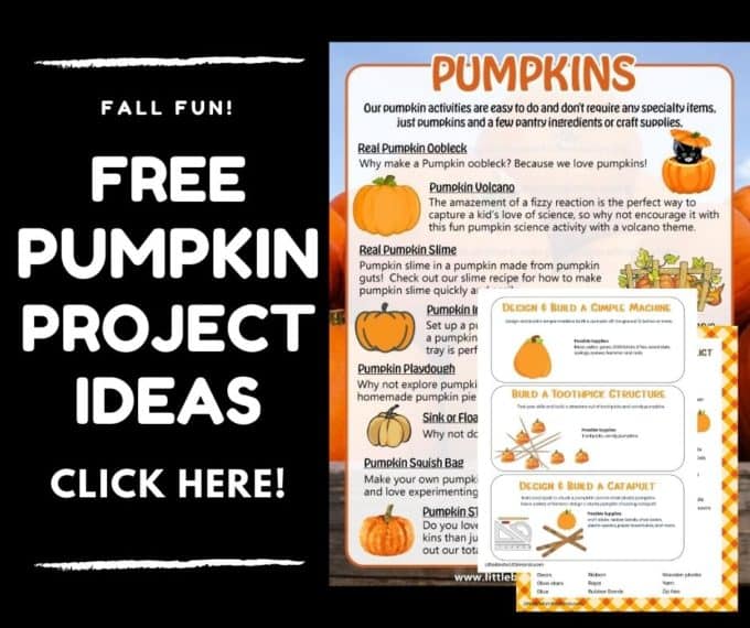 Pumpkin Science Experiments - Little Bins for Little Hands