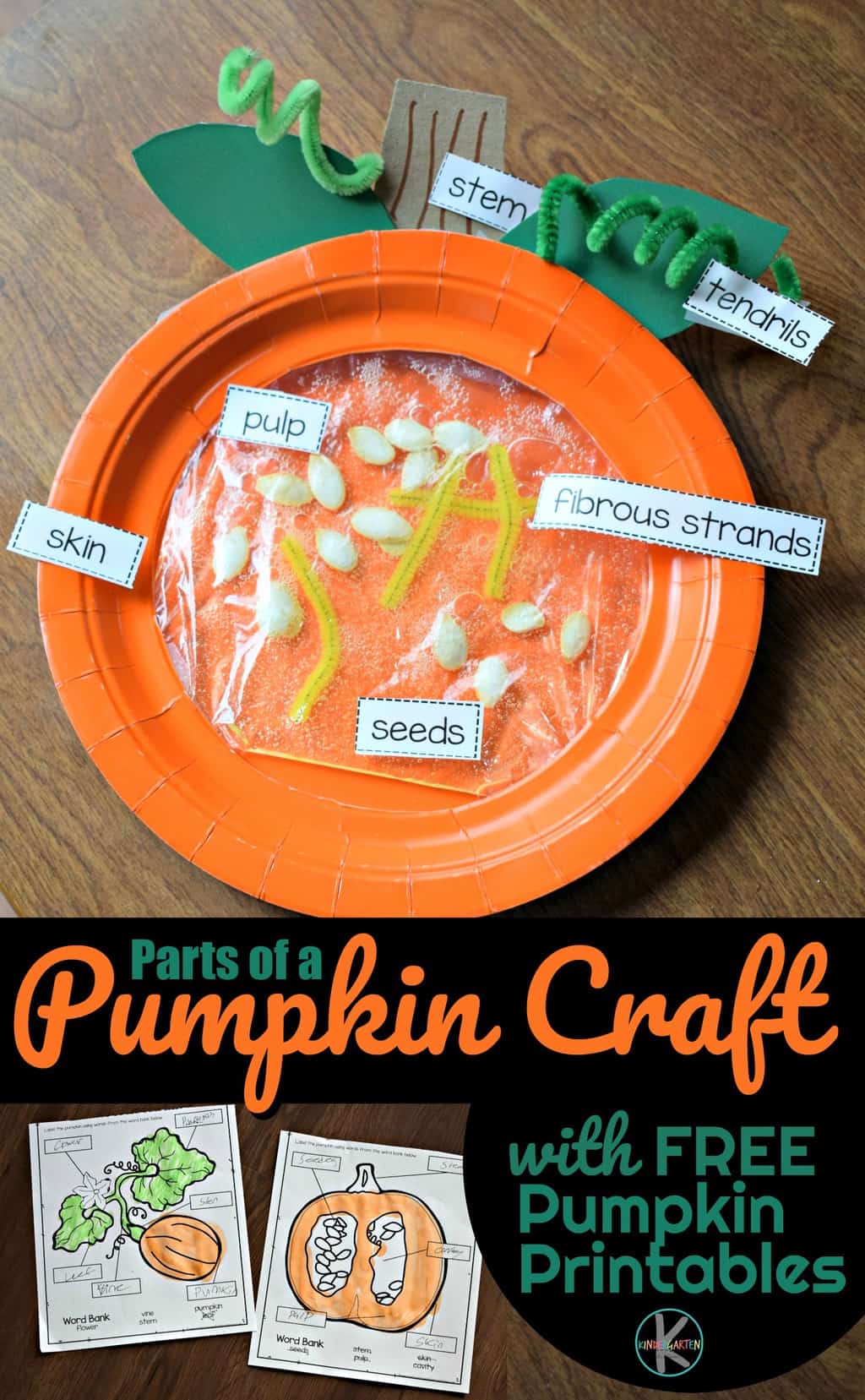 CUTE Parts of a Pumpkin Craft &  Free Parts of a Pumpkin Worksheets