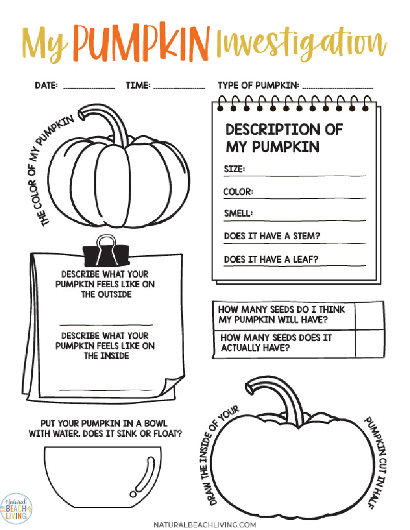 Pumpkin Investigation Worksheets and Activity - Natural Beach Living