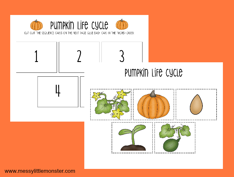Printable Pumpkin Life Cycle Worksheets - Messy Little Monster