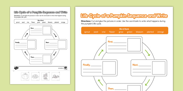 Pumpkin Life Cycle Sequencing and Writing Activity | Twinkl