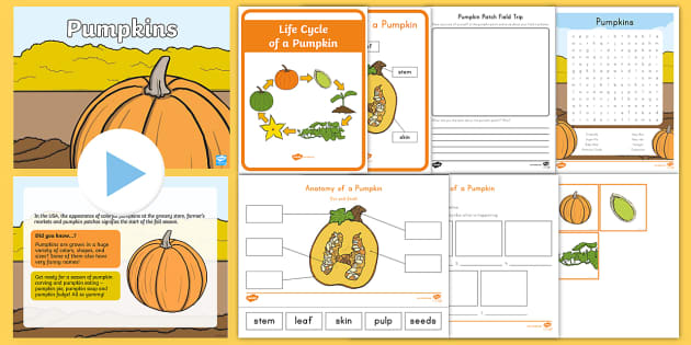 Life of a Pumpkin pack | K-2nd Grade Resources | Twinkl USA