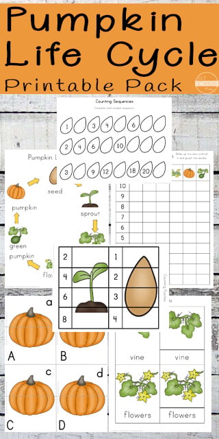 FREE FREE Printable Pumpkin Life Cycle Worksheets s