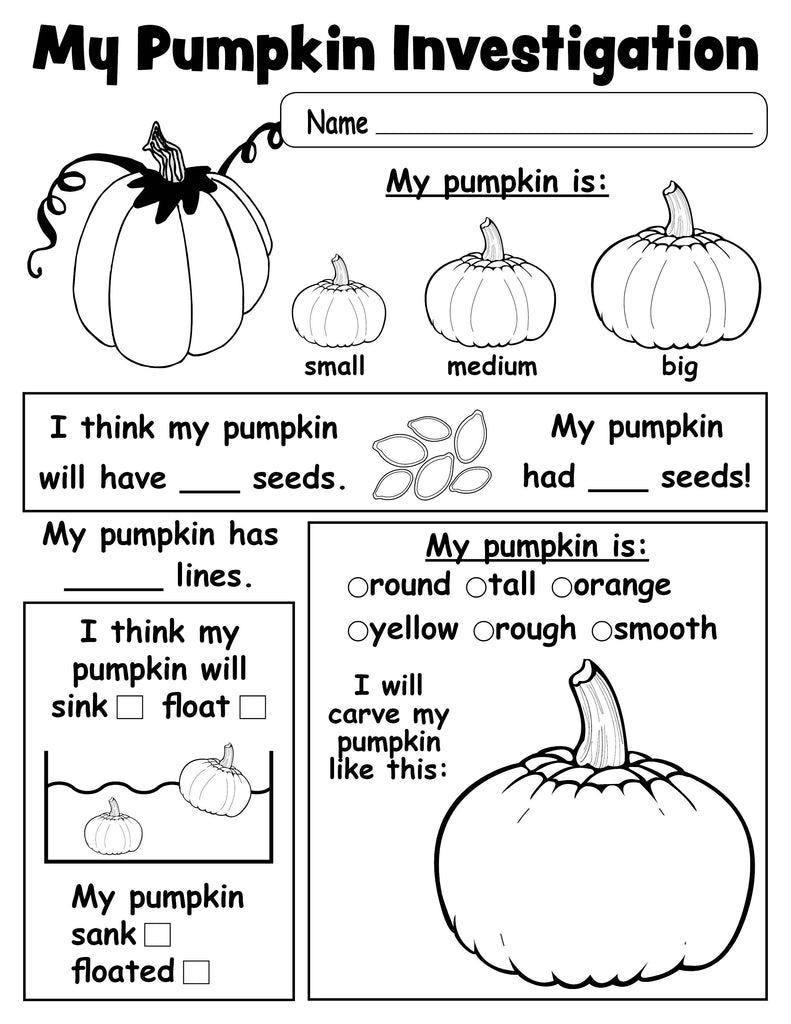 Pumpkin Investigation Worksheet - Printable!