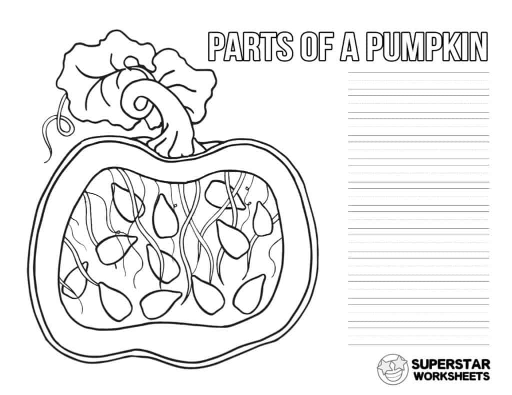 Pumpkin Worksheet -Worksheets Library